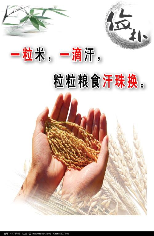 假的四六级